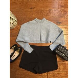 Wilfred Free Aritzia Womens Merino Wool Knit Cropped Sweater Size 1 Light Blue